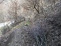 Натиснете снимката за да я уголемите

Име:Picture 282.jpg
Прегледи:98
Размер:340.5 КБ
ID:5049934