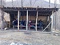Натиснете снимката за да я уголемите

Име:Image020.jpg
Прегледи:163
Размер:194.2 КБ
ID:5049958