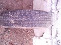 Натиснете снимката за да я уголемите

Име:Picture 006.jpg
Прегледи:140
Размер:125.1 КБ
ID:5051644