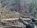 Натиснете снимката за да я уголемите

Име:300320082180.jpg
Прегледи:279
Размер:187.5 КБ
ID:5052972