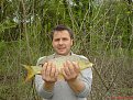 Натиснете снимката за да я уголемите

Име:DSC00947.jpg
Прегледи:396
Размер:215.5 КБ
ID:5053709
