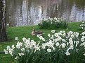 Натиснете снимката за да я уголемите

Име:IMG_8362.JPG
Прегледи:210
Размер:59.4 КБ
ID:5053831