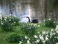 Натиснете снимката за да я уголемите

Име:IMG_8368.JPG
Прегледи:210
Размер:56.3 КБ
ID:5053833