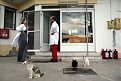 Натиснете снимката за да я уголемите

Име:IMG_3950.jpg
Прегледи:340
Размер:28.3 КБ
ID:5053952