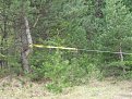 Натиснете снимката за да я уголемите

Име:IMG_2368.JPG
Прегледи:2092
Размер:184.3 КБ
ID:5053970