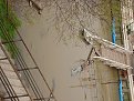 Натиснете снимката за да я уголемите

Име:DSC00416.jpg
Прегледи:140
Размер:207.3 КБ
ID:5054038