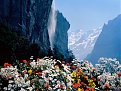 Натиснете снимката за да я уголемите

Име:flower75.jpg
Прегледи:203
Размер:87.7 КБ
ID:5055317