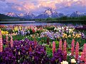 Натиснете снимката за да я уголемите

Име:flower109.jpg
Прегледи:192
Размер:107.2 КБ
ID:5055320