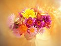 Натиснете снимката за да я уголемите

Име:flower115.jpg
Прегледи:177
Размер:70.5 КБ
ID:5055322