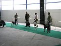Натиснете снимката за да я уголемите

Име:IMG_2306.JPG
Прегледи:123
Размер:87.5 КБ
ID:5055577