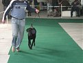 Натиснете снимката за да я уголемите

Име:IMG_2309.JPG
Прегледи:116
Размер:118.4 КБ
ID:5055578