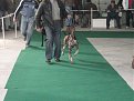 Натиснете снимката за да я уголемите

Име:IMG_2310.JPG
Прегледи:122
Размер:122.7 КБ
ID:5055579