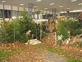 Натиснете снимката за да я уголемите

Име:IMG_2315.JPG
Прегледи:117
Размер:195.7 КБ
ID:5055583