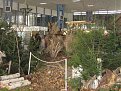 Натиснете снимката за да я уголемите

Име:IMG_2316.JPG
Прегледи:119
Размер:186.6 КБ
ID:5055584