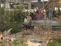 Натиснете снимката за да я уголемите

Име:IMG_2317.JPG
Прегледи:120
Размер:181.7 КБ
ID:5055585