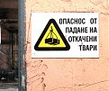 Натиснете снимката за да я уголемите

Име:pic_10000859_0316670.jpg
Прегледи:9087
Размер:148.9 КБ
ID:5055664
