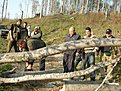 Натиснете снимката за да я уголемите

Име:DSCN5008.jpg
Прегледи:115
Размер:805.7 КБ
ID:5056075
