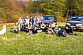 Натиснете снимката за да я уголемите

Име:DSC04975.JPG
Прегледи:121
Размер:507.6 КБ
ID:5056088