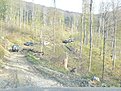 Натиснете снимката за да я уголемите

Име:P1010261.jpg
Прегледи:99
Размер:143.6 КБ
ID:5056324