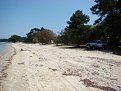 Натиснете снимката за да я уголемите

Име:DSC03822.JPG
Прегледи:210
Размер:38.4 КБ
ID:5056415
