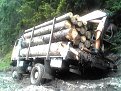 Натиснете снимката за да я уголемите

Име:06071102.JPG
Прегледи:809
Размер:46.5 КБ
ID:5056608