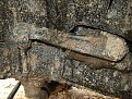 Натиснете снимката за да я уголемите

Име:DSC03887.jpg
Прегледи:338
Размер:262.7 КБ
ID:5056808