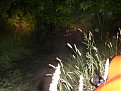 Натиснете снимката за да я уголемите

Име:SL272042.jpg
Прегледи:311
Размер:193.0 КБ
ID:5057349