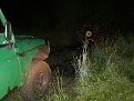 Натиснете снимката за да я уголемите

Име:SL272047.jpg
Прегледи:308
Размер:193.8 КБ
ID:5057351