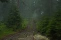Натиснете снимката за да я уголемите

Име:Rhodopi Off track_MG_6967.JPG
Прегледи:270
Размер:66.9 КБ
ID:5058275
