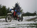 Натиснете снимката за да я уголемите

Име:P4280019.jpg
Прегледи:240
Размер:110.4 КБ
ID:5059485