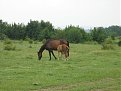 Натиснете снимката за да я уголемите

Име:IMG_2701.JPG
Прегледи:87
Размер:116.6 КБ
ID:5059629
