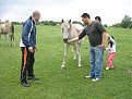Натиснете снимката за да я уголемите

Име:IMG_2704.JPG
Прегледи:109
Размер:153.0 КБ
ID:5059632