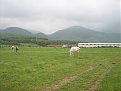 Натиснете снимката за да я уголемите

Име:IMG_2713.JPG
Прегледи:93
Размер:104.3 КБ
ID:5059636