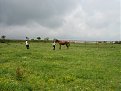Натиснете снимката за да я уголемите

Име:IMG_2727.JPG
Прегледи:92
Размер:119.5 КБ
ID:5059641