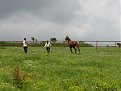 Натиснете снимката за да я уголемите

Име:IMG_2729.JPG
Прегледи:93
Размер:119.5 КБ
ID:5059642