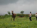 Натиснете снимката за да я уголемите

Име:IMG_2731.JPG
Прегледи:106
Размер:113.5 КБ
ID:5059643