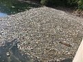 Натиснете снимката за да я уголемите

Име:pic060.jpg
Прегледи:191
Размер:173.2 КБ
ID:5060336