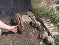 Натиснете снимката за да я уголемите

Име:bscap0113.jpg
Прегледи:373
Размер:31.8 КБ
ID:5060356