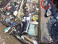 Натиснете снимката за да я уголемите

Име:pic052.jpg
Прегледи:154
Размер:290.8 КБ
ID:5060549