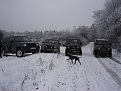 Натиснете снимката за да я уголемите

Име:DSC04859.jpg
Прегледи:641
Размер:113.6 КБ
ID:5060940