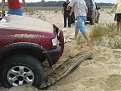 Натиснете снимката за да я уголемите

Име:DSC00463.jpg
Прегледи:170
Размер:178.1 КБ
ID:5061154