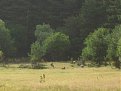 Натиснете снимката за да я уголемите

Име:IMGP2423.JPG
Прегледи:136
Размер:410.1 КБ
ID:5061481