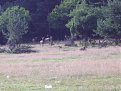 Натиснете снимката за да я уголемите

Име:IMGP2425.JPG
Прегледи:133
Размер:453.8 КБ
ID:5061482
