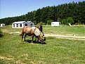 Натиснете снимката за да я уголемите

Име:IMGP2427.JPG
Прегледи:146
Размер:347.7 КБ
ID:5061484