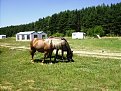 Натиснете снимката за да я уголемите

Име:IMGP2428.JPG
Прегледи:132
Размер:357.9 КБ
ID:5061485