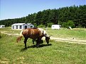 Натиснете снимката за да я уголемите

Име:IMGP2430.JPG
Прегледи:118
Размер:347.4 КБ
ID:5061487