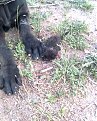 Натиснете снимката за да я уголемите

Име:32.jpg
Прегледи:307
Размер:162.3 КБ
ID:5061496