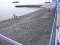 Натиснете снимката за да я уголемите

Име:SN851968.JPG
Прегледи:293
Размер:57.5 КБ
ID:5061531