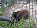 Натиснете снимката за да я уголемите

Име:SN852703.JPG
Прегледи:214
Размер:70.8 КБ
ID:5061714