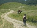 Натиснете снимката за да я уголемите

Име:S6300922.JPG
Прегледи:80
Размер:141.7 КБ
ID:5061783